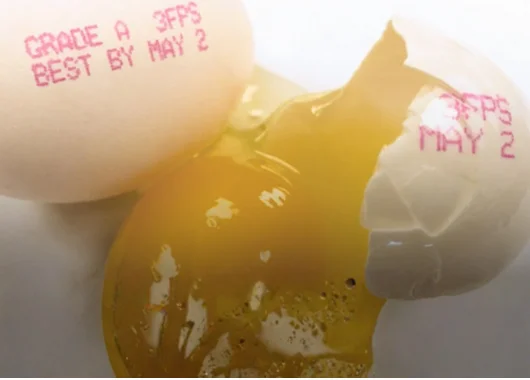 BestCode 88S Safe Coding Printer for Food Date & Batch Coding