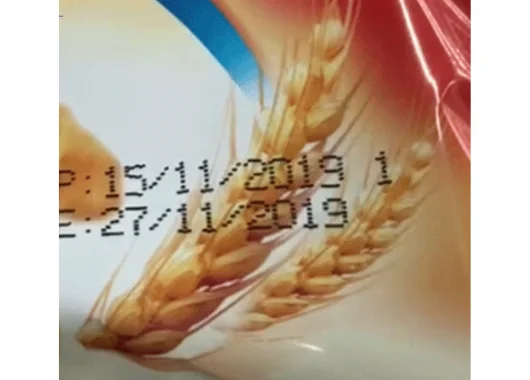 BestCode Model 88 Carton and Packaging Coding System